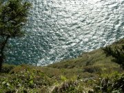 Cape Lookout 056 